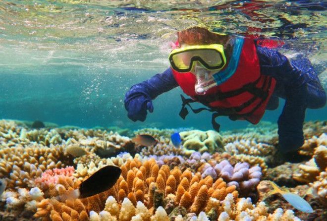 Спешите увидеть!