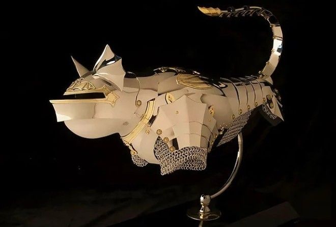 Кошачий гладиаторский шлем, мдаа :-)