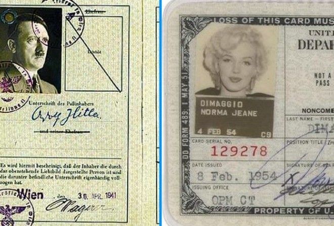 Никогда не видел!