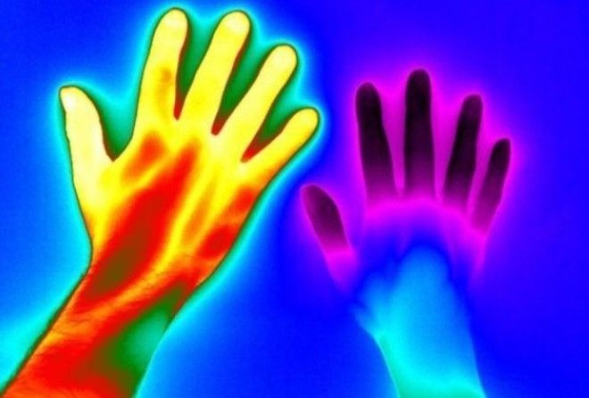 Наука никогда не перестанет нас удивлять!