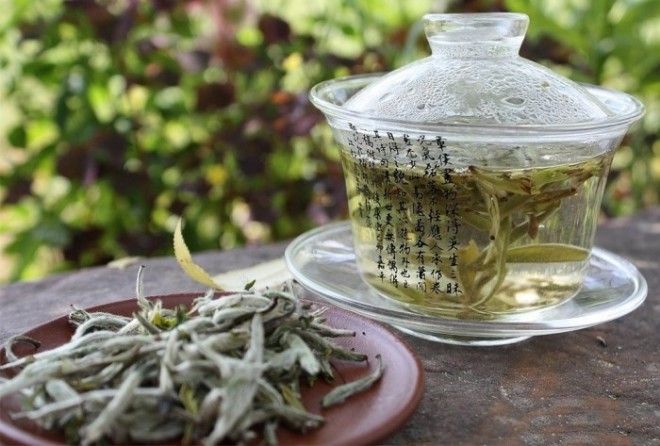 Успокоит, улучшит настроение и не только