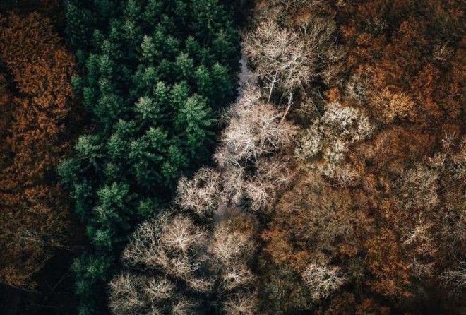 Для таких снимков одного везения мало, тут надо уметь увидеть!