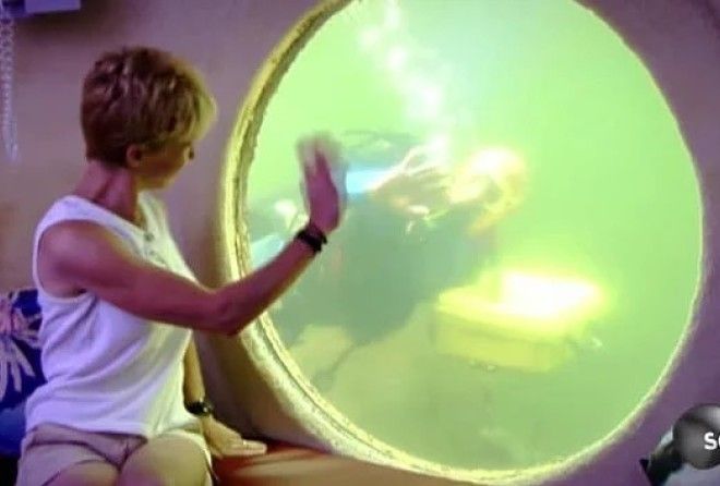 Много, разных, интересных!