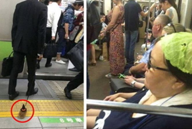 Удивительное в одном вагоне с вами! :-)