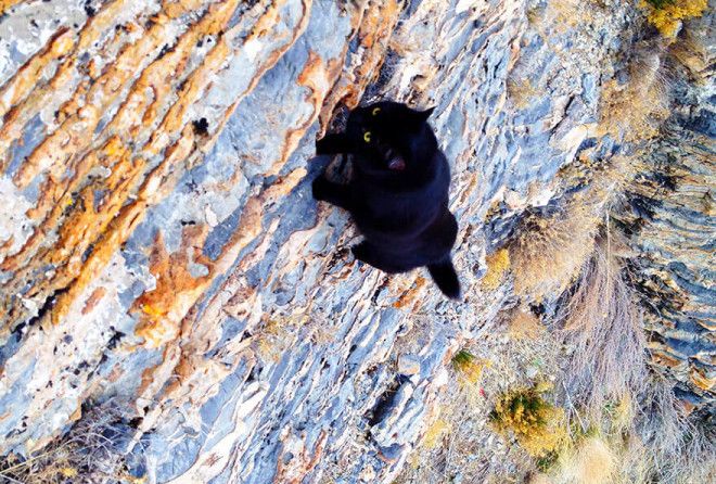 Вся в хозяина! :-)