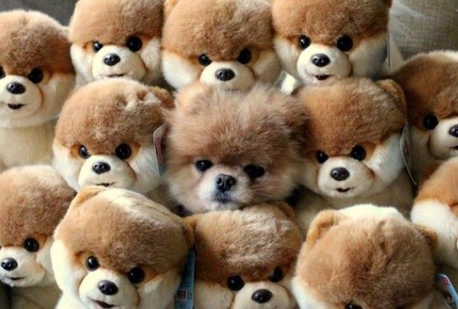 Вы всех нашли? :-)