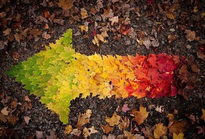 Осень прекрасна и изумительна!