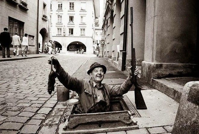 Крысоловы без волшебной дудочки.