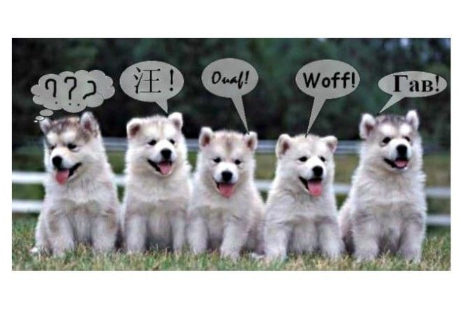 На любой вкус