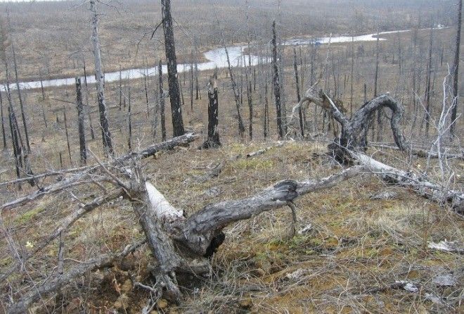 Проверять как-то не очень хочется!