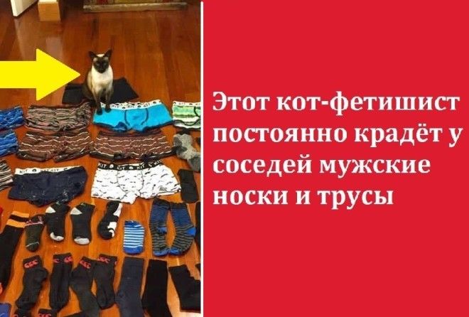 Может, они просто хотят увидеть твое ЛИЦО :-)