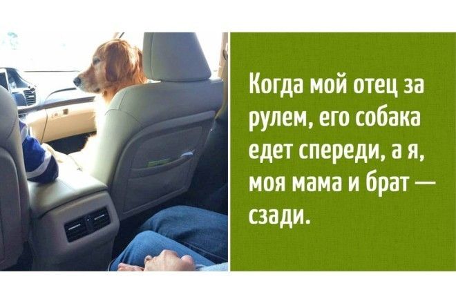 Жизненно! :-D
