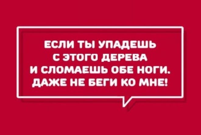 Мамы умеют нас удивлять :-)